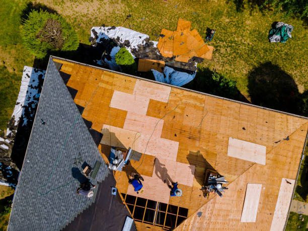 Quick and Trustworthy Emergency Roof Repair Services in Lakewood Ranch, FL